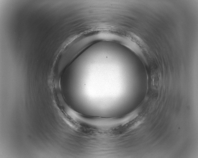 X0000070430436200606091308