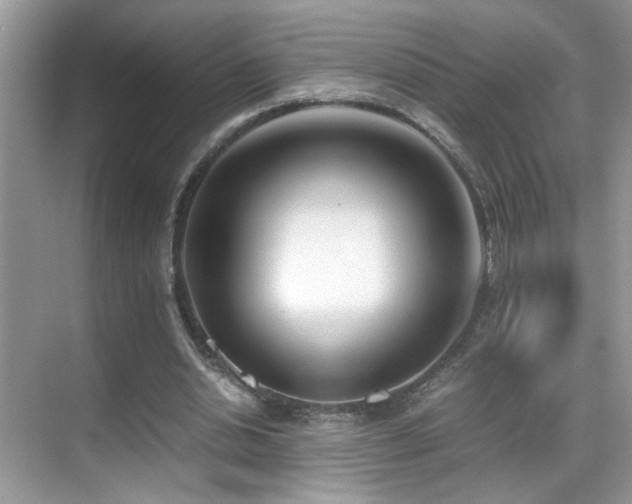 X0000070430438200606091308