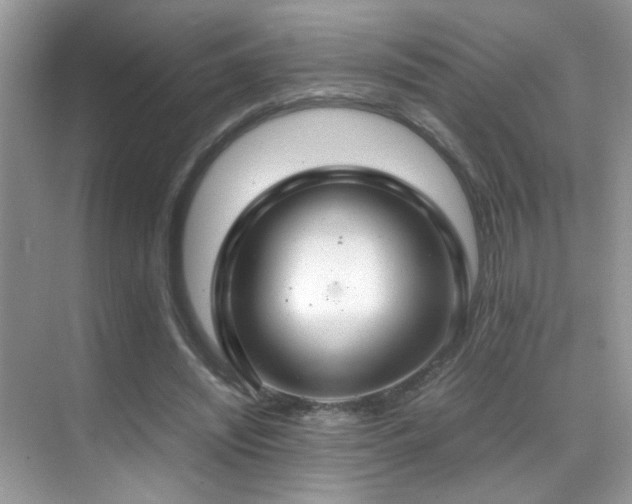 X0000070430444200606091308