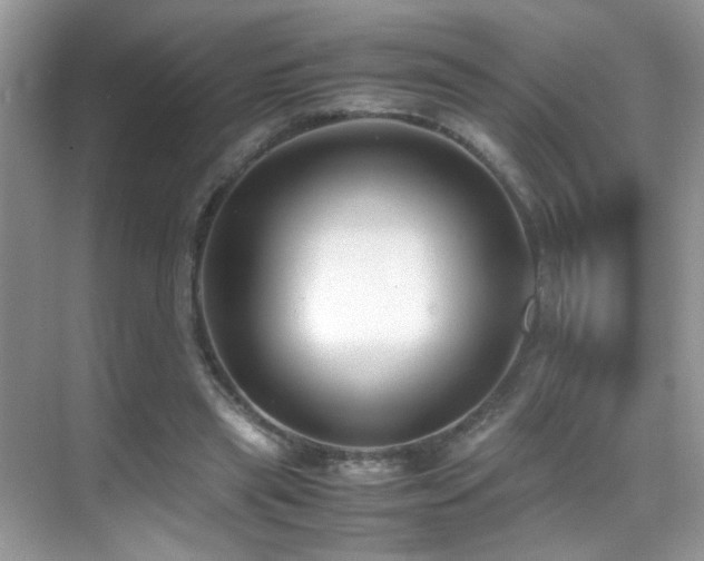 X0000070430445200606091308