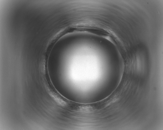 X0000070430446200606091308
