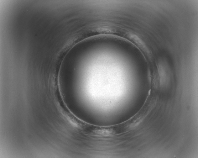 X0000070430449200606091308