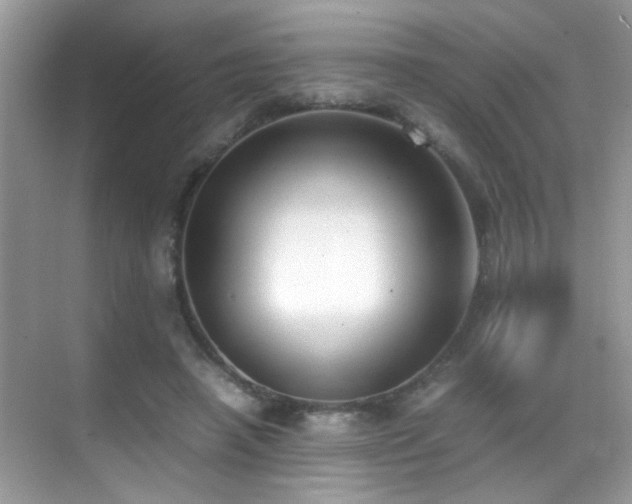 X0000070430450200606091308