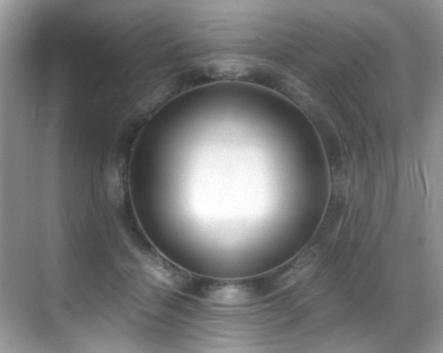 X0000070430460200606091308
