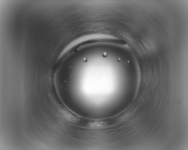 X0000070430461200606091308