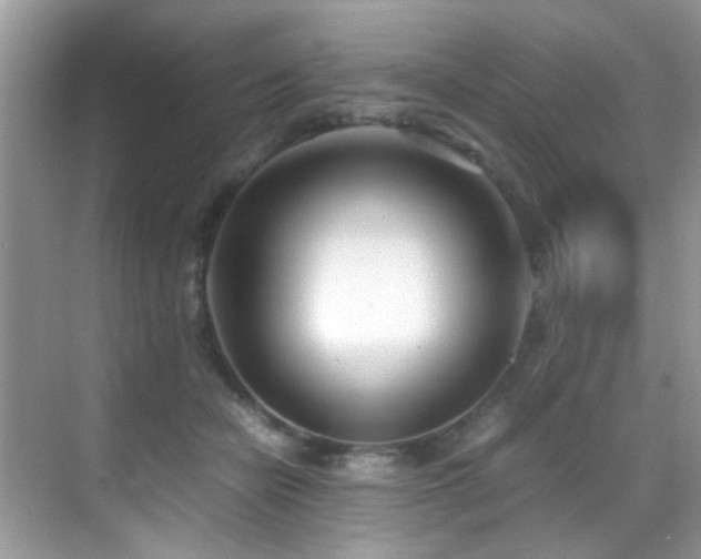 X0000070430462200606091308