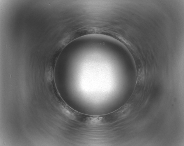 X0000070430474200606091309