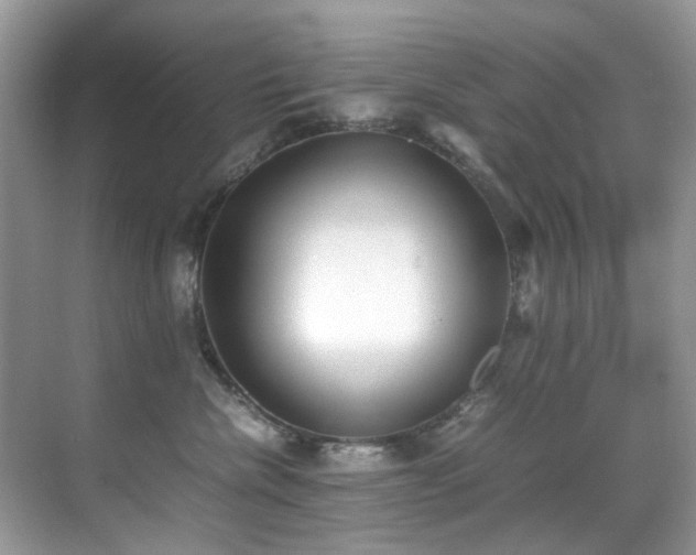 X0000070430476200606091309
