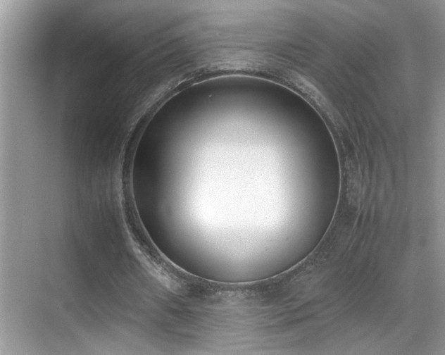 X0000070430482200606091308