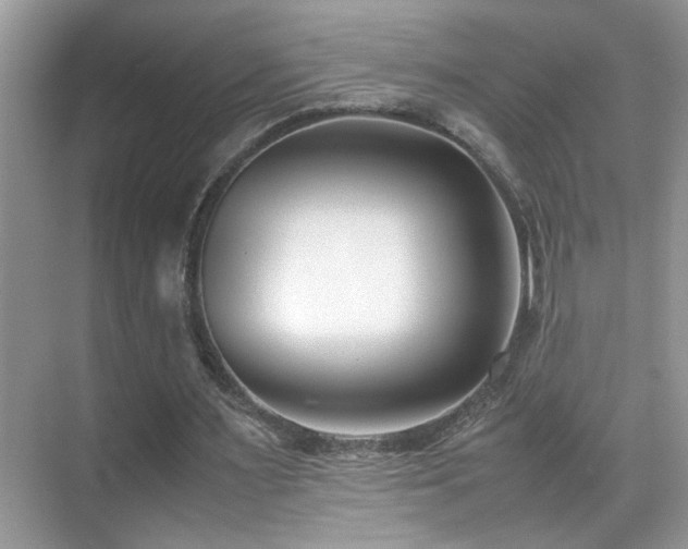 X0000070430483200606091308