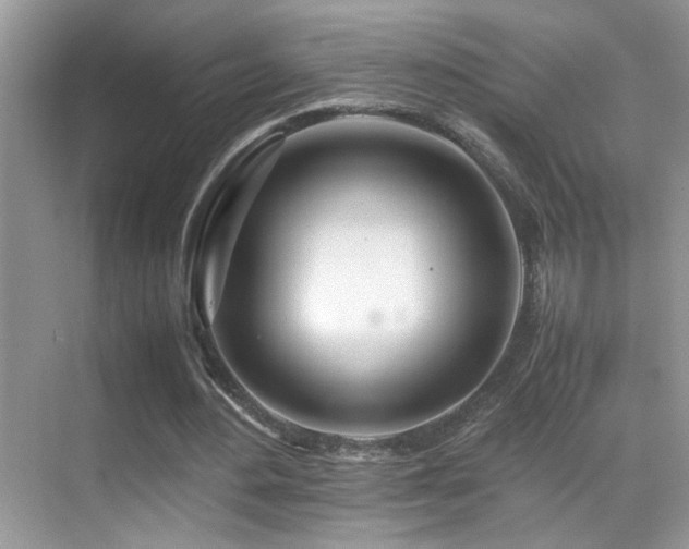 X0000070430484200606091308