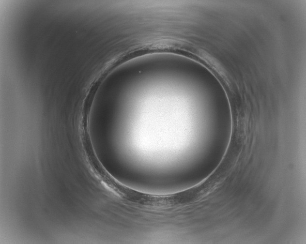 X0000070430485200606091308