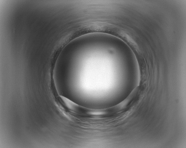 X0000070430493200606091308