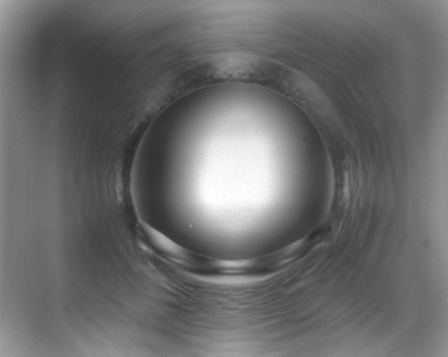 X0000070430508200606091307