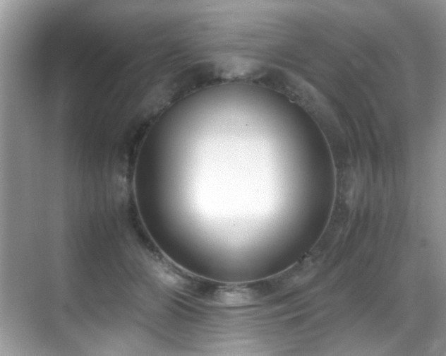 X0000070430510200606091307