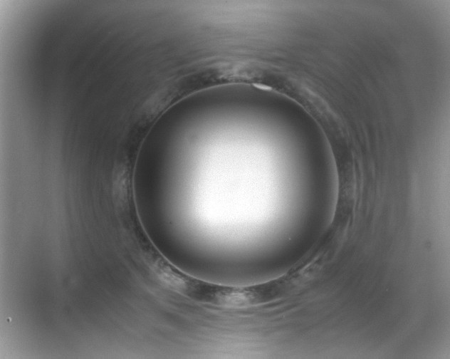X0000070430513200606091307