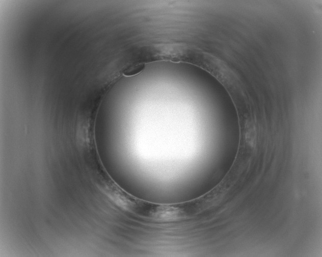 X0000070430514200606091307