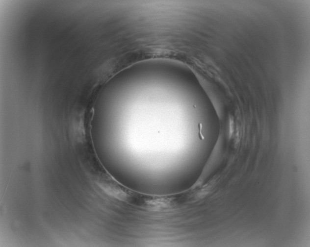 X0000070430516200606091307