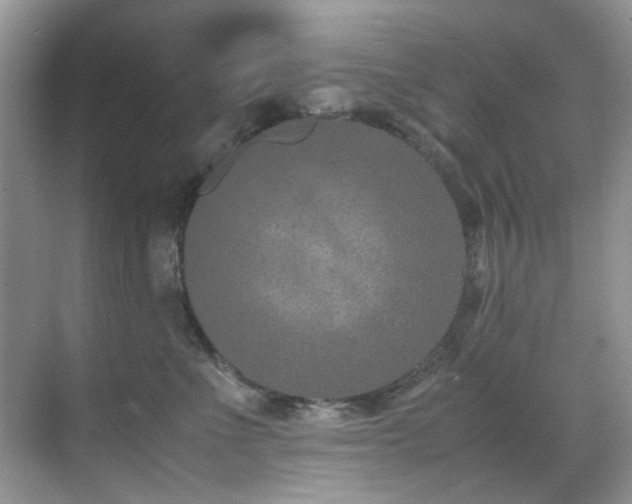 X0000070430523200606091307