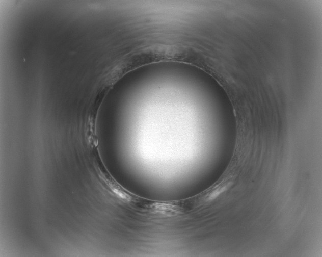 X0000070430528200606091307
