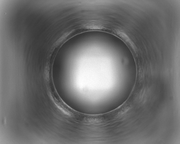 X0000070430533200606091306