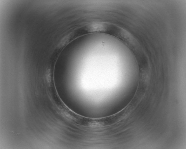 X0000070430549200606091307