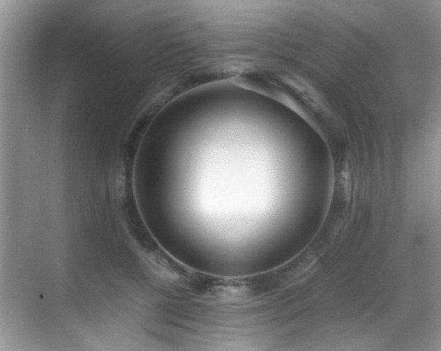 X0000070430552200606091307