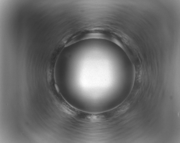 X0000070430558200606091307