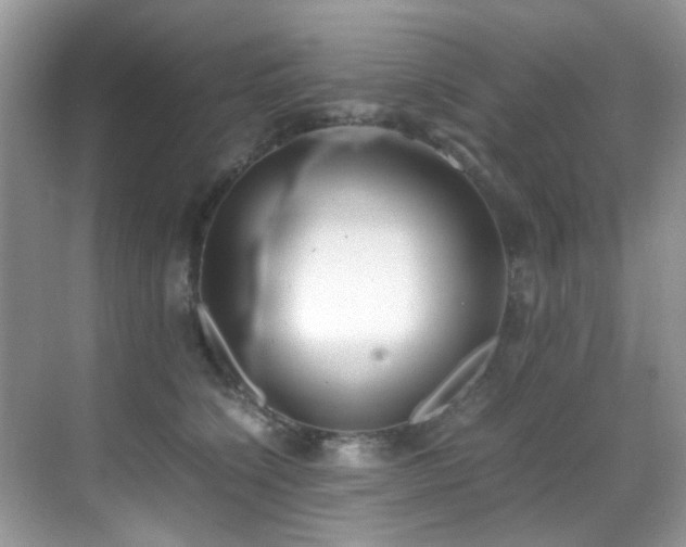 X0000070430564200606091307