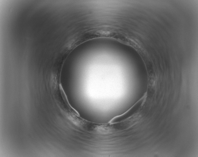 X0000070430568200606091307