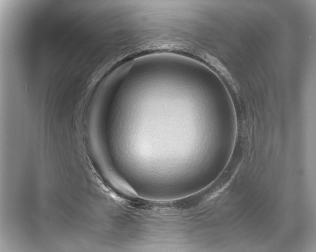 X0000070430577200606091306