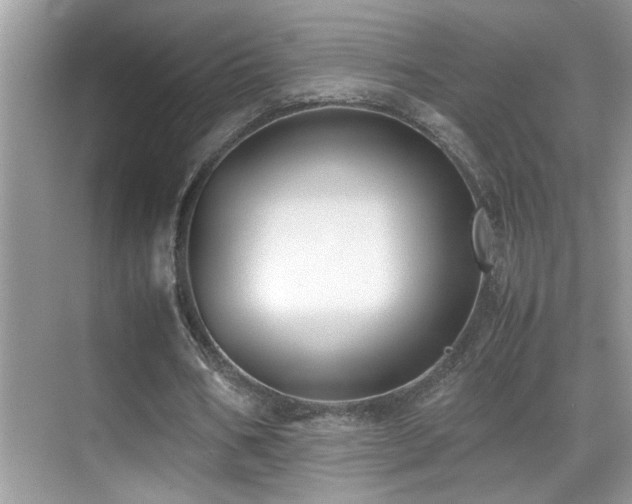 X0000070430578200606091306