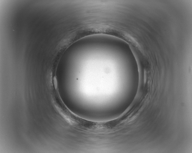X0000070430589200606091306