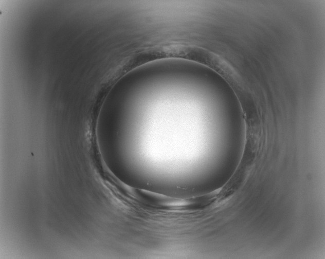 X0000070430593200606091306