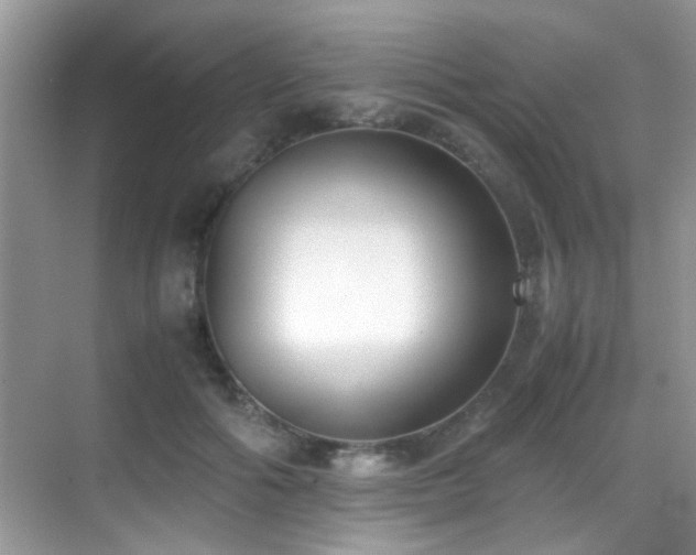 X0000070430602200606091306