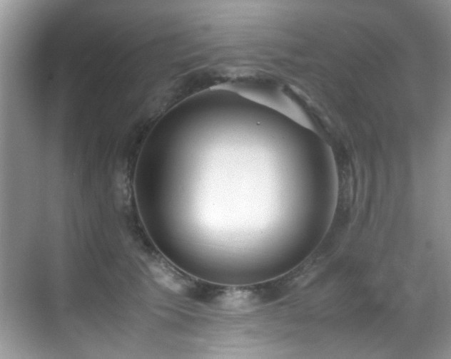 X0000070430609200606091306