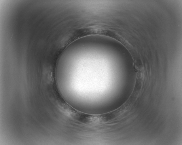 X0000070430615200606091306