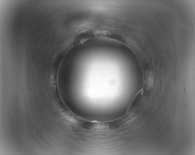 X0000070430619200606091305