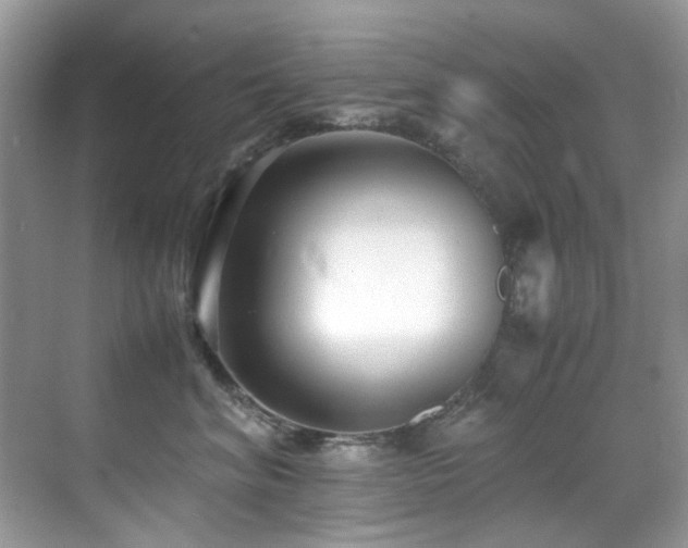 X0000070430620200606091305