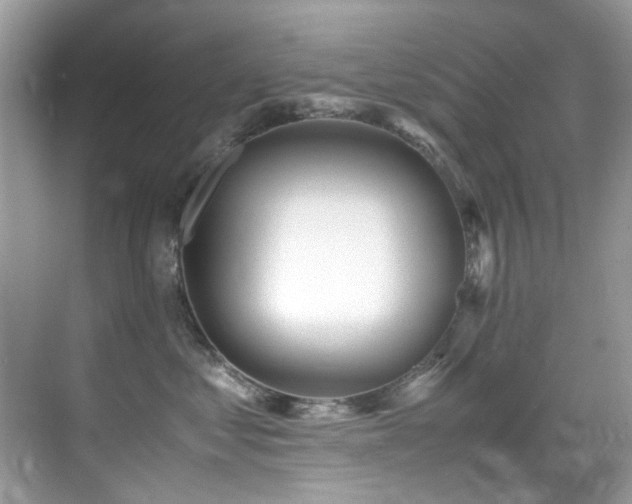 X0000070430621200606091305