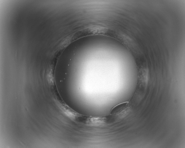 X0000070430622200606091305