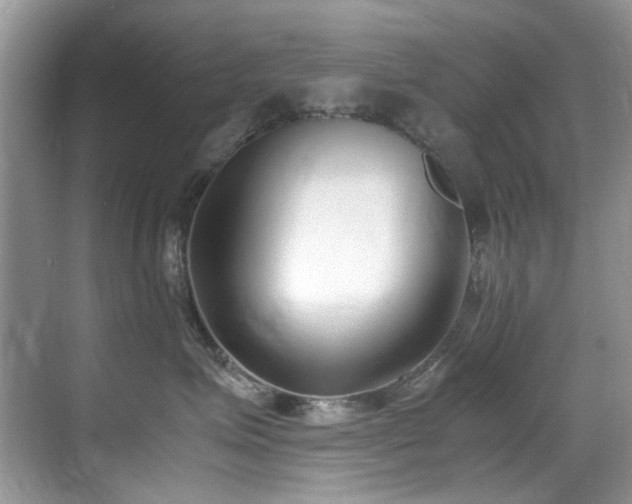 X0000070430623200606091305