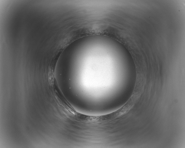 X0000070430624200606091305