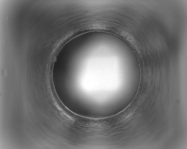 X0000070430625200606091305