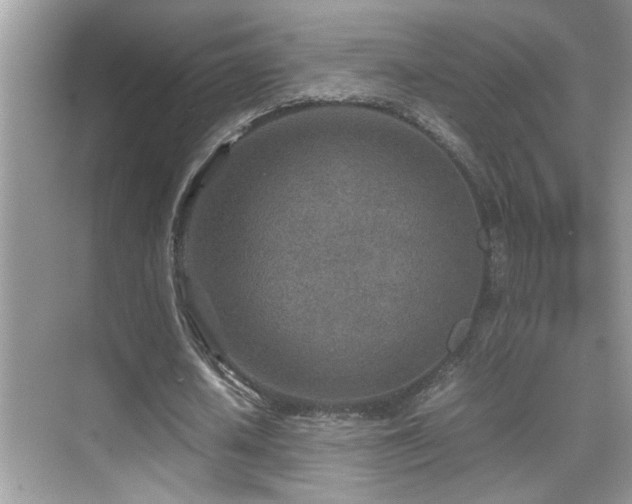 X0000070430626200606091305