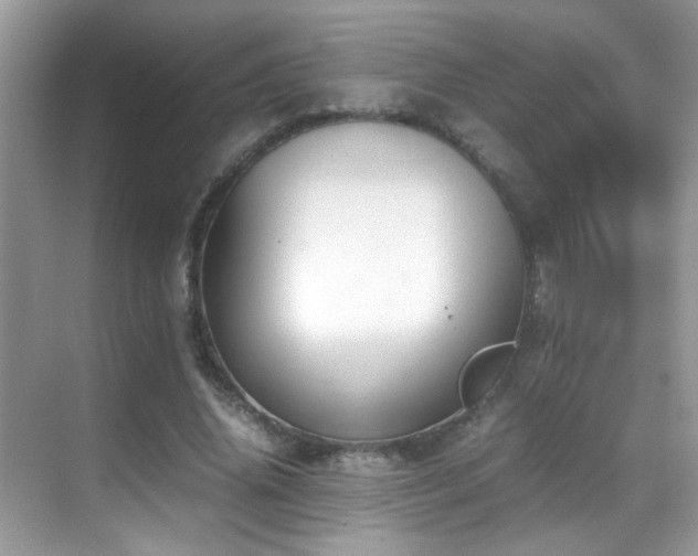 X0000070430636200606091305
