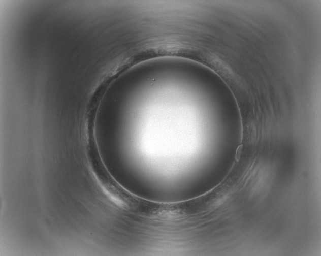 X0000070430638200606091305