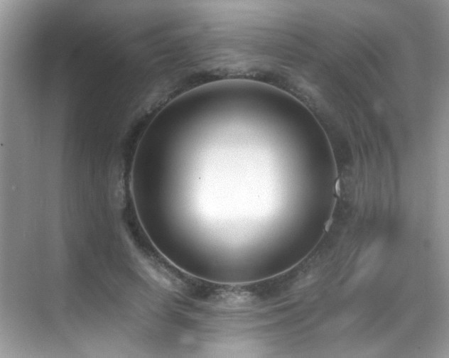 X0000070430642200606091305