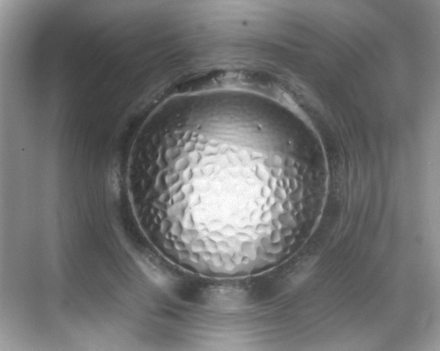 X0000070430644200606091305