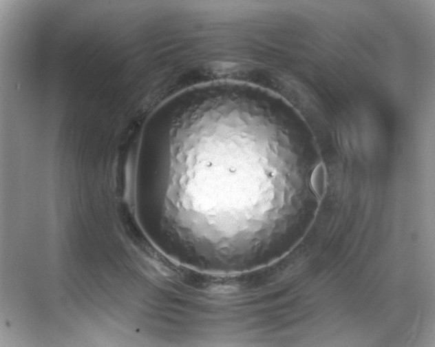X0000070430653200606091305